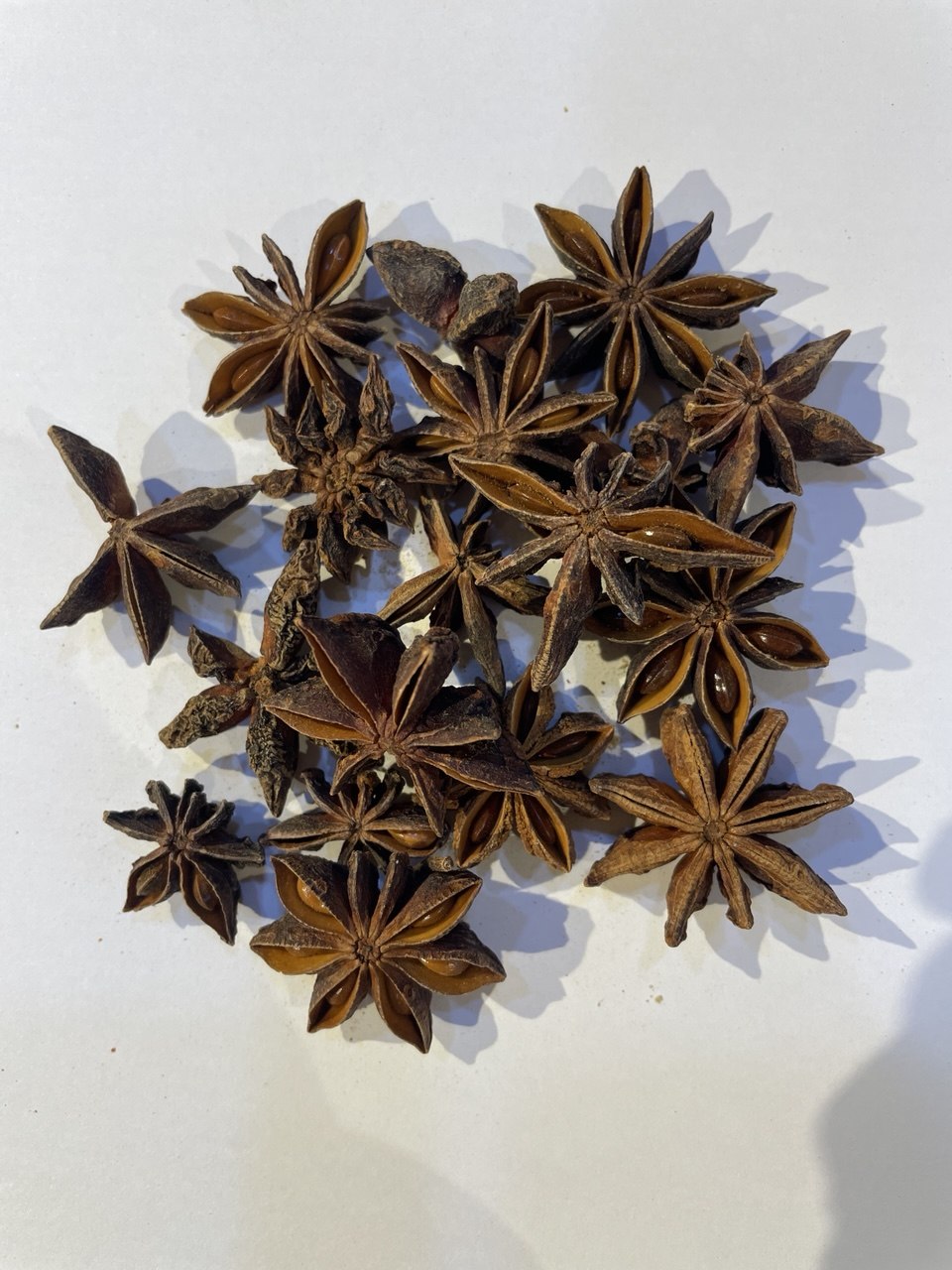 نجمة الأرض - Star Anise