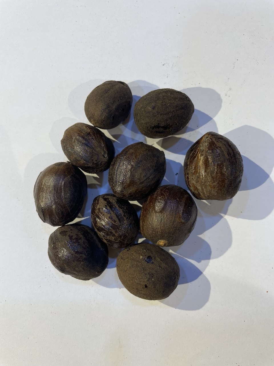 جوزة الطيب-nutmeg