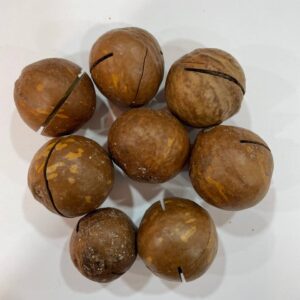 ماكاداميا - Macadamia nuts
