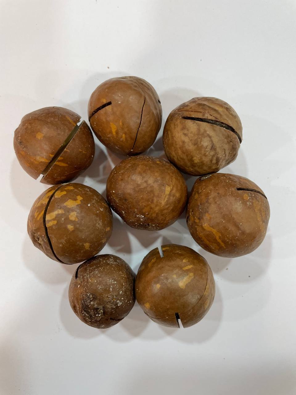 ماكاداميا - Macadamia nuts