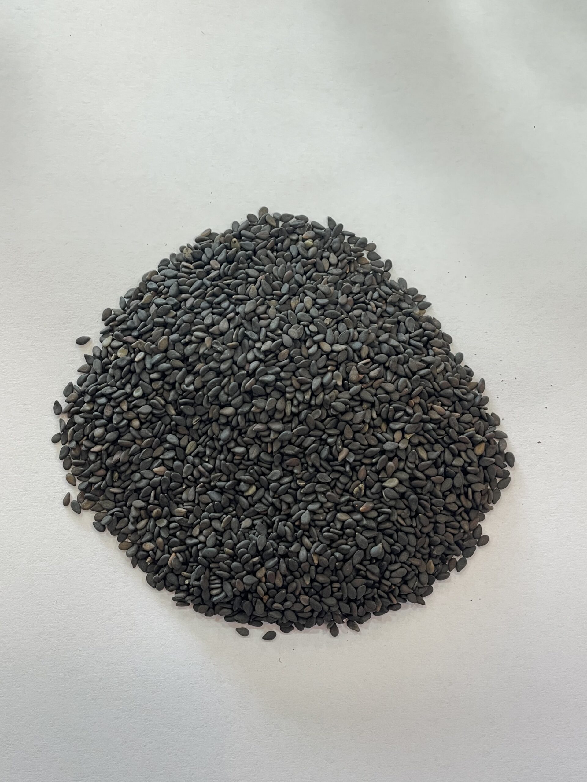 السمسم الأسود - Black Sesame Seeds