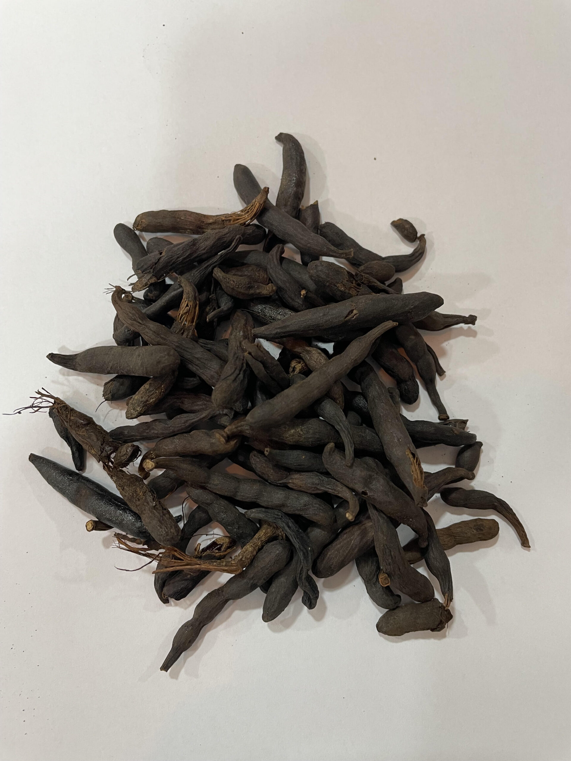 فلفل أسود غيني - Guinean Black Pepper