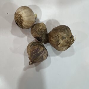 ثوم ذكر