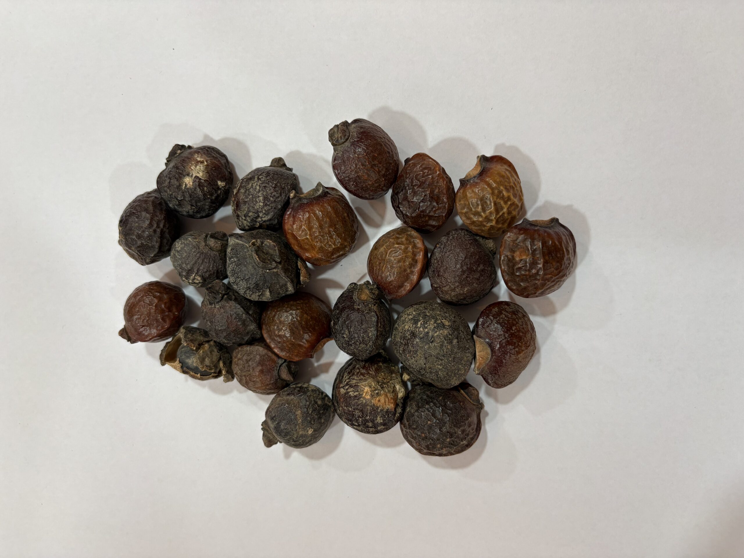 حبوب الريثا الطبيعية Whole Reetha Soapnuts