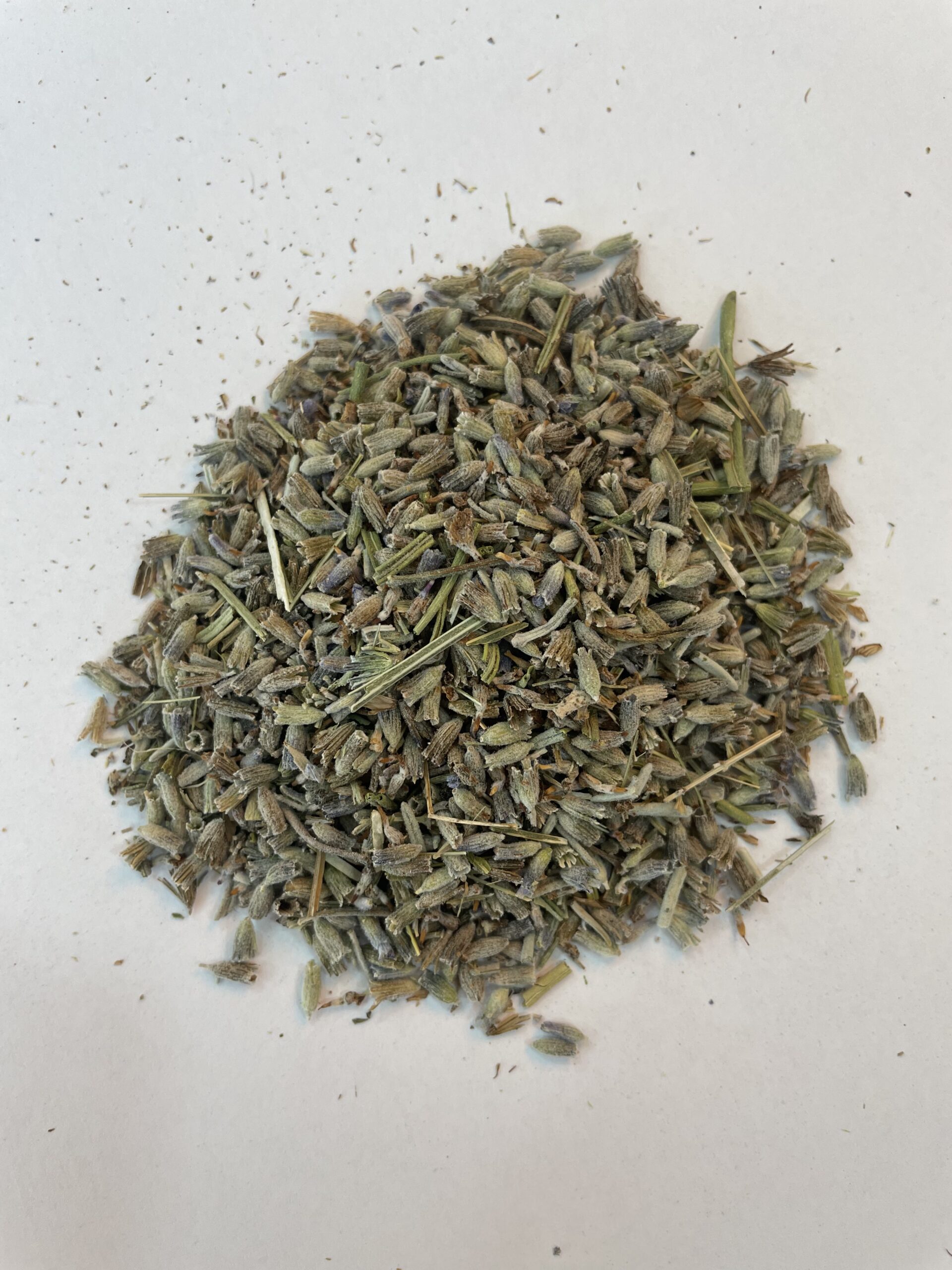 الخزامى Lavender