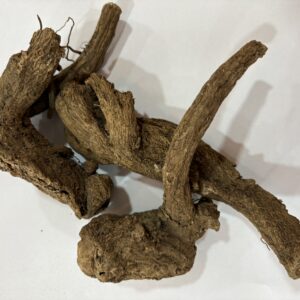 القسط الهندي Indian Costus Root