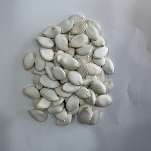 زريعة اليقطين البيضاء غير مملحة