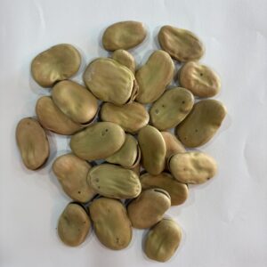 فول (حبة كاملة)
